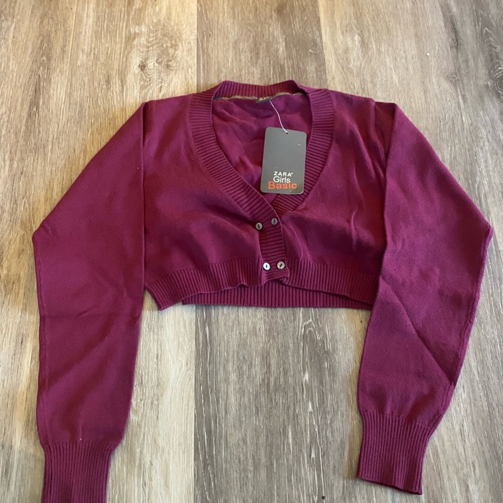 Zara Basic Maroon Cropped Cardigan